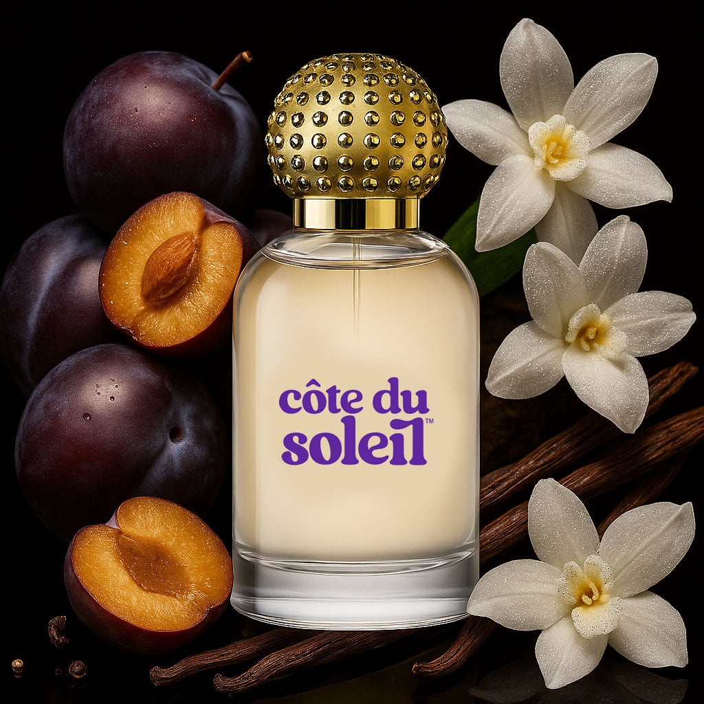 Prune mûre de la Côte du Soleil